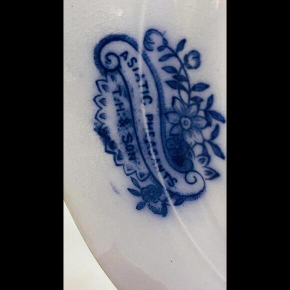 ❤️SOLD❤️ Antique Asiatic Pheasant T.H & Son Plate…Rare and Hard to Find… - Picture 2 of 7